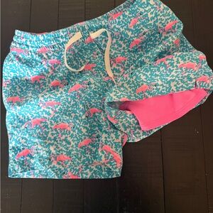 Chubbies Kids' Aqua and Pink flamingo swim trunks